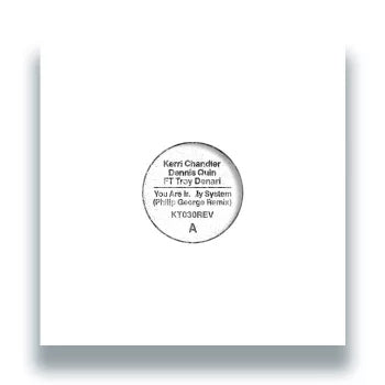 You Are In My System (Philip George Remix) [12" Vinyl] - Vinyl