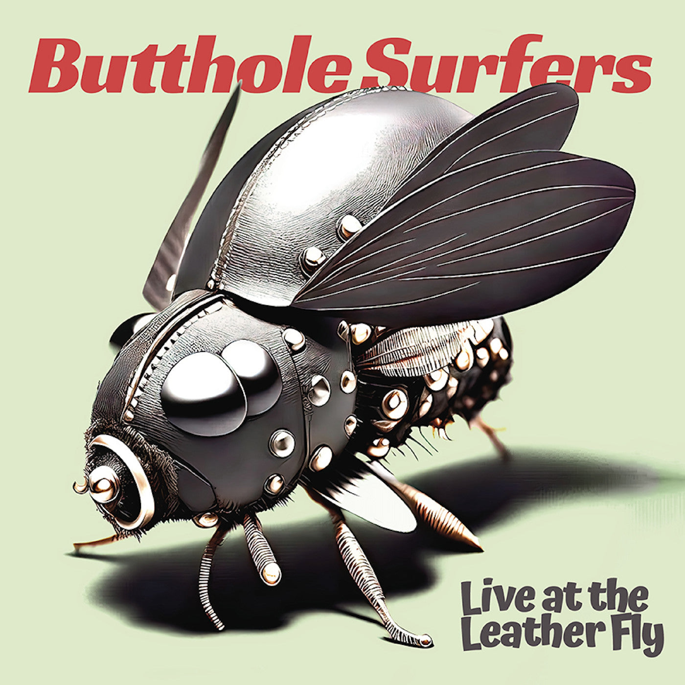 Live At The Leather Fly [Opaque Pink Vinyl] - Vinyl