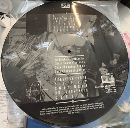 Bleach [Original Picture Disc Vinyl Pressing] - Vinyl